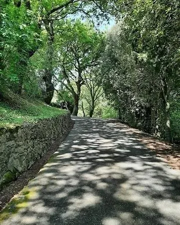 Trilocale Con Piscina Montescudaio