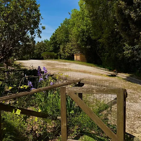 Trilocale Con Piscina * Montescudaio