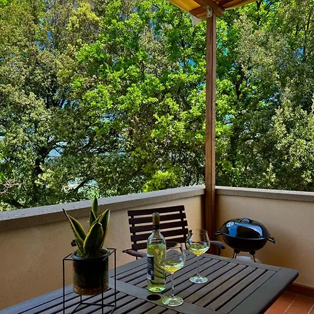 Apartman Trilocale Immerso Nel A Pochi Chilometri Dal Mare Con Piscina Soppalco E Parcheggio Montescudaio
